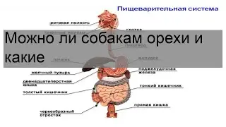 Как сделать маленькие буквы на клавиатуре