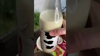БЛИНЧИКИ, КОТОРЫЕ НЕ НАВРЕДЯТ ФИГУРЕ И ЗДОРОВЬЮ