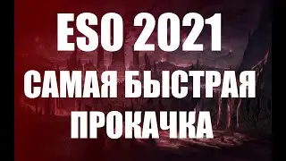 ESO 2021: Самый быстрый фарм опыта для новчиков