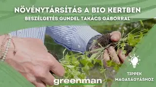 GREENMAN x Gundel Takács Gábor: Növénytársítás a bio kertben