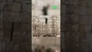 Неожиданный поступок в мечети Омейядов