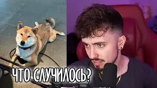 ЧТО СЛУЧИЛОСЬ С МАРТИ?