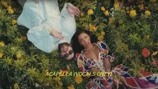 Post Malone - I Like You (HQ Acapella - Vocals only feat. Doja Cat
