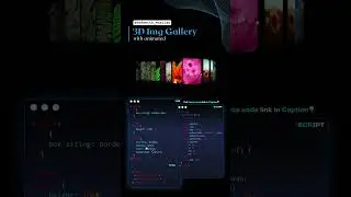 3D Image Gallery 