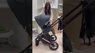 Коляска 2 в 1 Carrello Sigma Каррелло Сигма