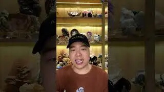 LỪA ĐẢO ĐỔ THẠCH