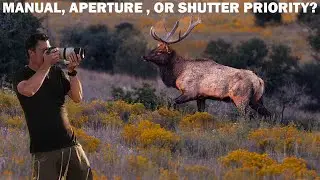The BEST Shooting MODES For WILDLIFE Photography: Why & When To Use Them