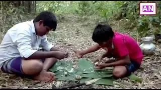 Primitive Technology Found hen Nest Stalks hens Eggs in The Wild Cooking