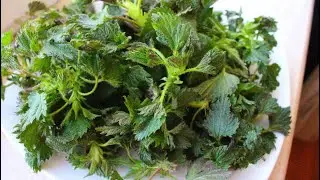 ВКУСНЕЙШИЙ ЗАВТРАК ИЗ КРАПИВЫ /  AY COOK