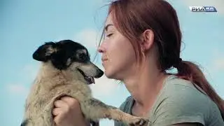 Строительство приюта для собак 