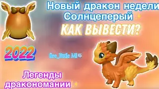 ✨НОВЫЙ ДРАКОН НЕДЕЛИ СОЛНЦЕПЕРЫЙ/КАК ВЫВЕСТИ?/ЛЕГЕНДЫ ДРАКОНОМАНИИ/Dragon Mania Legends✨