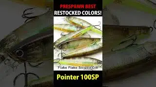 All Time Best Pointer 78 & Pointer 100, Bevy Pencil New Colors【PreSpawn 03, 04】【Post Spawn 05, 06】