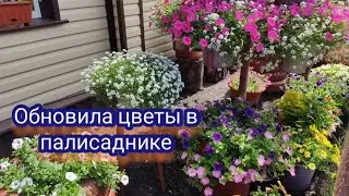 Привела палисадник в порядок, сделала перестановку 🌺🌺🌺