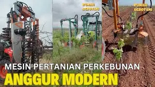 Inilah Mesin Mesin Pertanian Untuk Perkebunan Anggur Modern