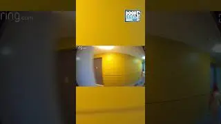 Put It Back (Caught on Ring Doorbell)