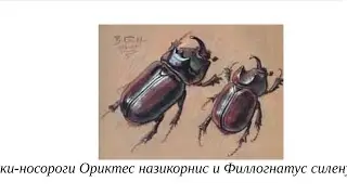 Без-топливный МАГНЕТРОН с антигравитационным эффектом!