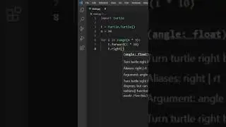 design using turtle in Python