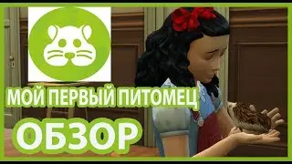 The Sims 4 Мой первый питомец - обзор каталога № 1 (КАС и мебель)