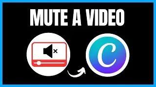 How to Mute a Video on Canva | Step-by-Step Guide
