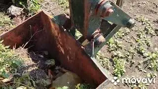 вторая жизнь петушка.