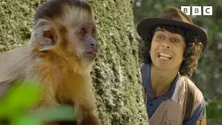 Tickling chimps and monkeys! | Andy's Amazing Adventures
