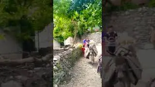 donkey road gilgit  baltistan hunza nagar  skrdu bazar baltistan road mountain road 