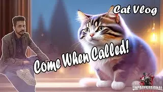 How to TEACH YOUR CAT THEIR NAME and to COME WHEN CALLED