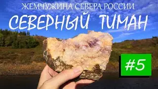 Пешка по тундре Северного Тимана / Россыпи драгоценностей / 5 часть