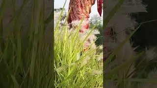 Village Trip May 2024 #countrymusic