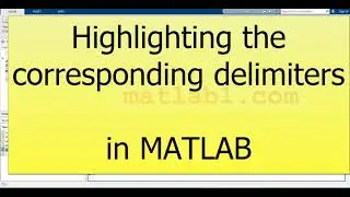 Highlighting the corresponding delimiter