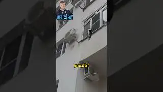 Кошка выпала из окна 😱 