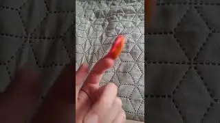 15 апреля 2023 г.