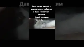 кошка мама а хомяк это я 