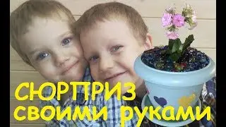 Матвей и Артем готовят сюрприз девочкам, на день влюбленных. Красивый горшок с цветами.