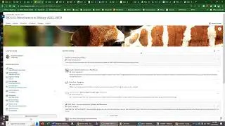 Blackboard Ultra discussion visibility board issue