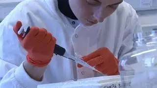 Treating the cancer
