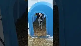 на экскурсии ЭкоНива