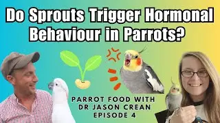 Can Feeding Sprouts to Parrots Make Them Hormonal? | Parrot Food With Dr Jason Crean Episode 4