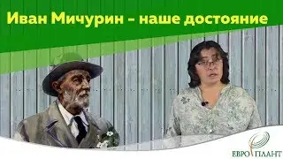 Иван Мичурин – пионер северного садоводства
