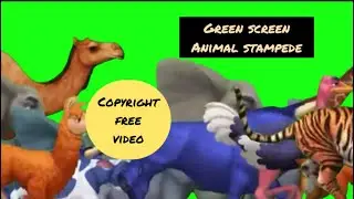 Green Screen Animal Stampede | Animals Running 