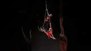 Aerial Chandelier ❤️ who would you trust to hold you? 