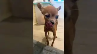 Спасибо что смотрите нас❤️❤️❤️ 