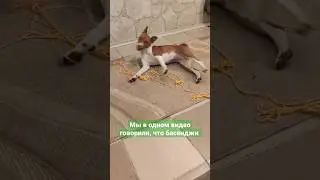Сколько ниточке не виться 
