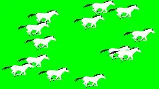 Running Horses | Green Screen running Horses | Green screen video |  @syedashahtv