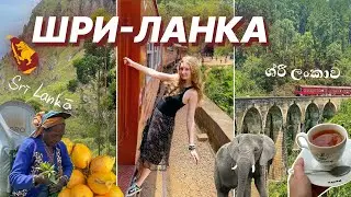 спонтанно улетела на Шри-Ланку одна…