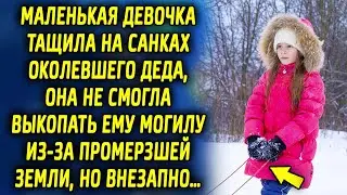Она тащила на санках замерзающего деда, все из-за промерзшей земли. То что произошло потом…