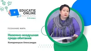 Познание мира, 3-й класс, Наземно-воздушная среда обитания