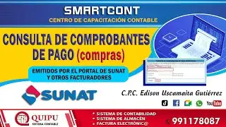 DESCARGA DE FACTURAS - 2024 DESDE EL PORTAL WEB SUNAT