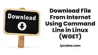 Download File from Internet using Linux Terminal #wget #linux #terminal