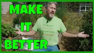 Cover Crops in the Home Garden